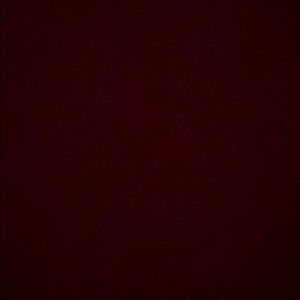 Meet your Posher, Rocio